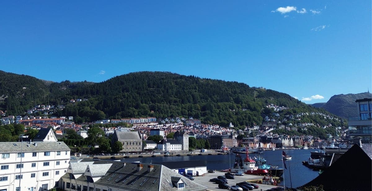 Utsikt mot Fløyen
